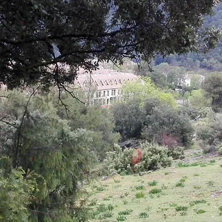 El Jabalí Contento *
