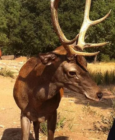 El Jabalí Contento Сasa de vacaciones