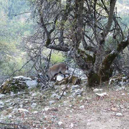 Сasa de vacaciones El Jabalí Contento
