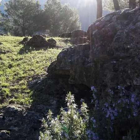 El Jabalí Contento Сasa de vacaciones *