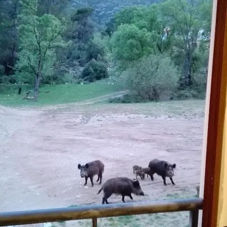 Holiday home El Jabali Contento Arroyo Frio