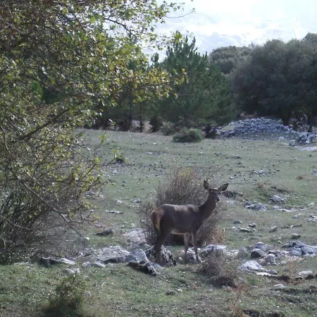 El Jabali Contento Holiday home